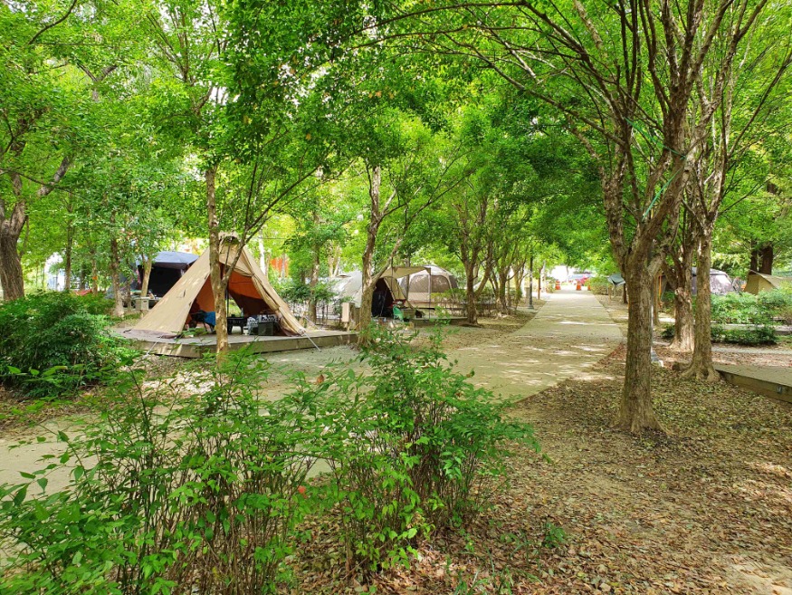 사진_시민의숲 야영장.jpg